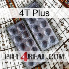 4T Plus 31